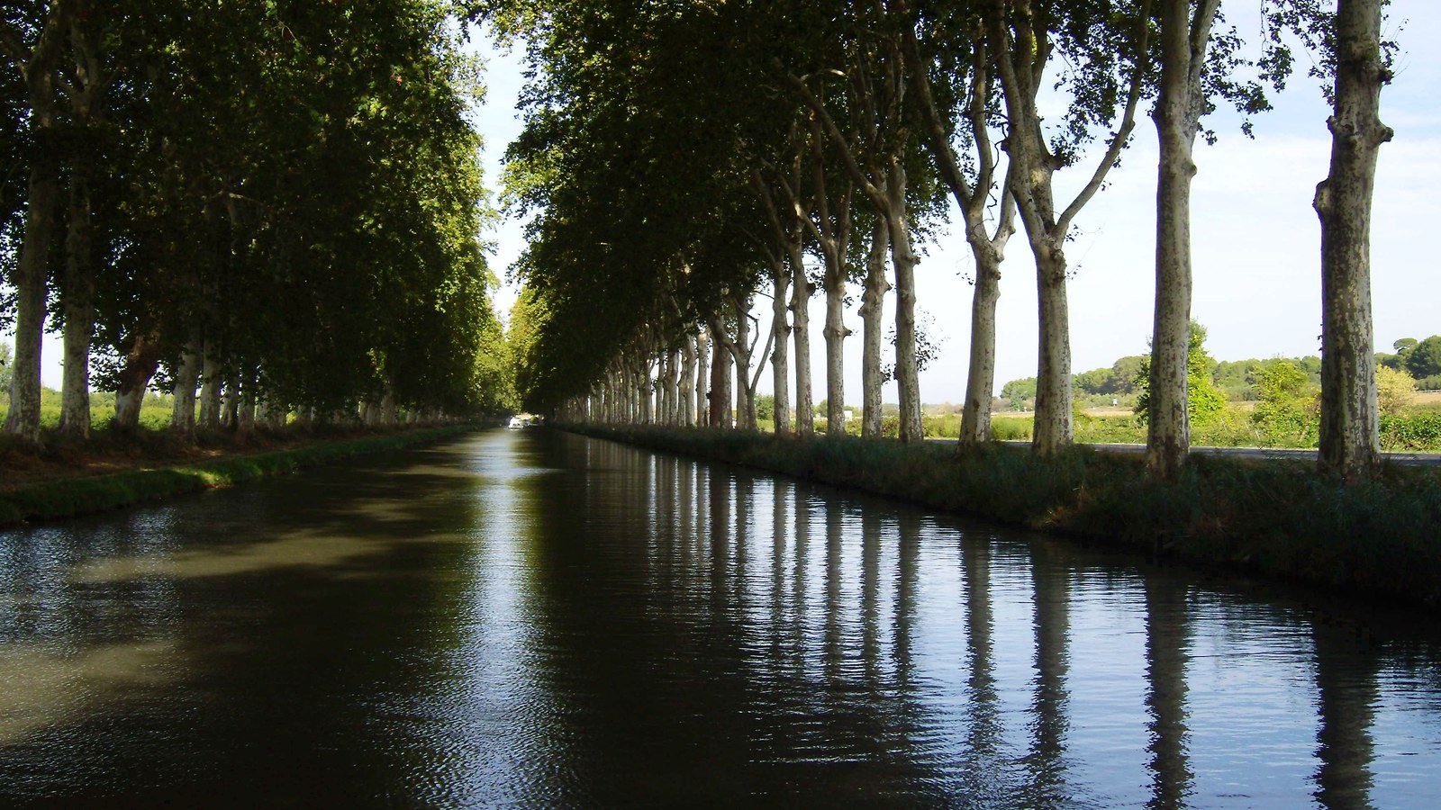 Le canal du Midi bordé de deux rangées de grands platanes qui se reflètent dans l'eau
