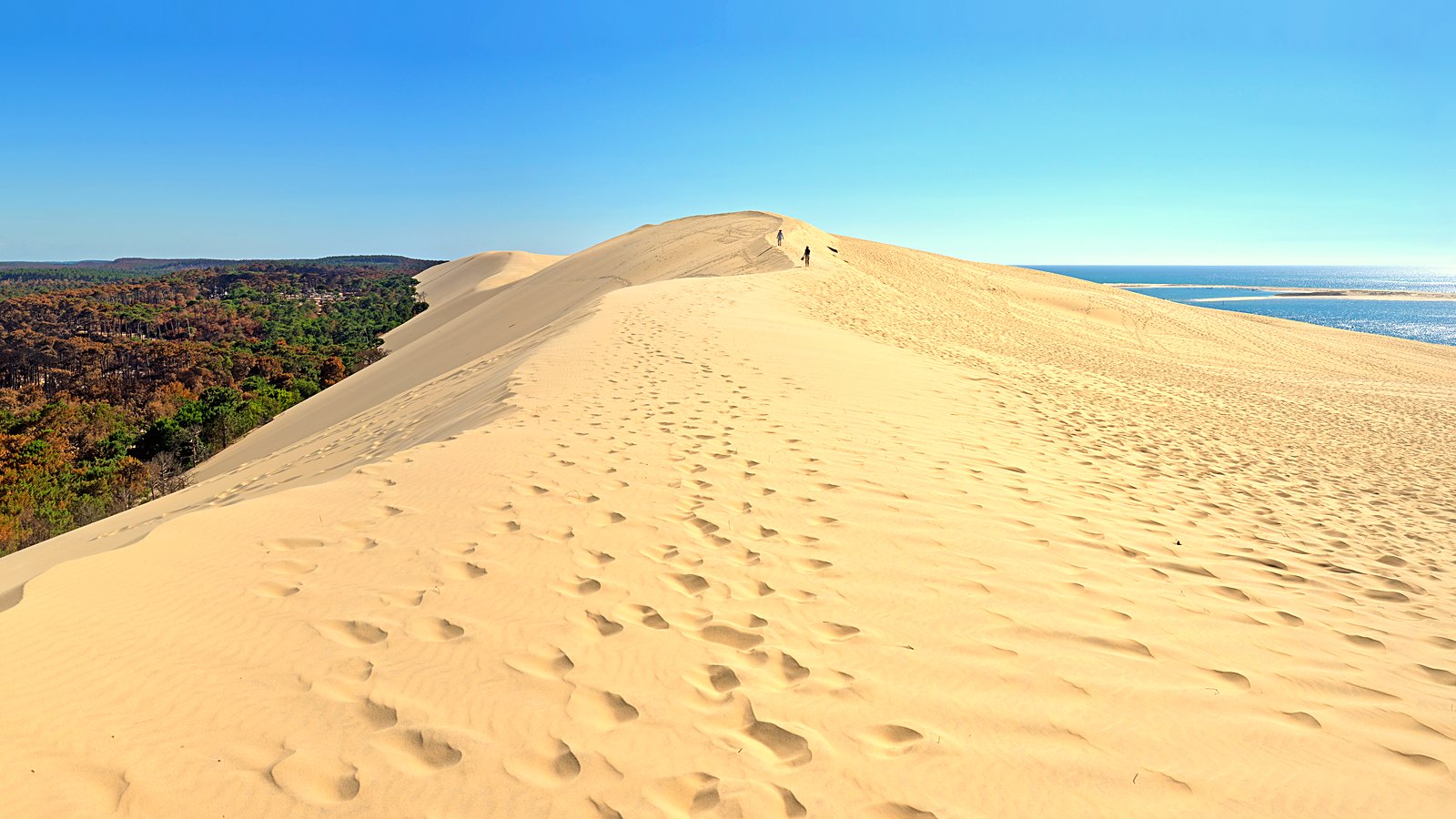 La crête de la dune du Pilat entre la forêt et l'océan, en Gironde