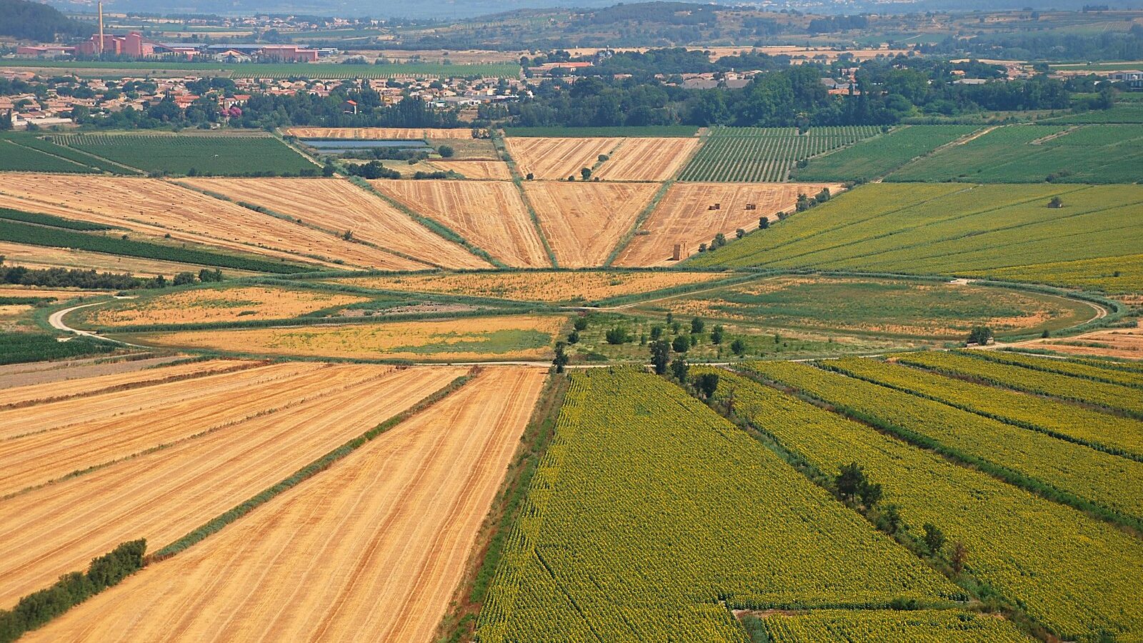 Les champs en étoile de l'ancien étang de Montady, au pied de l'oppidum d'Ensérune, dans l'Hérault