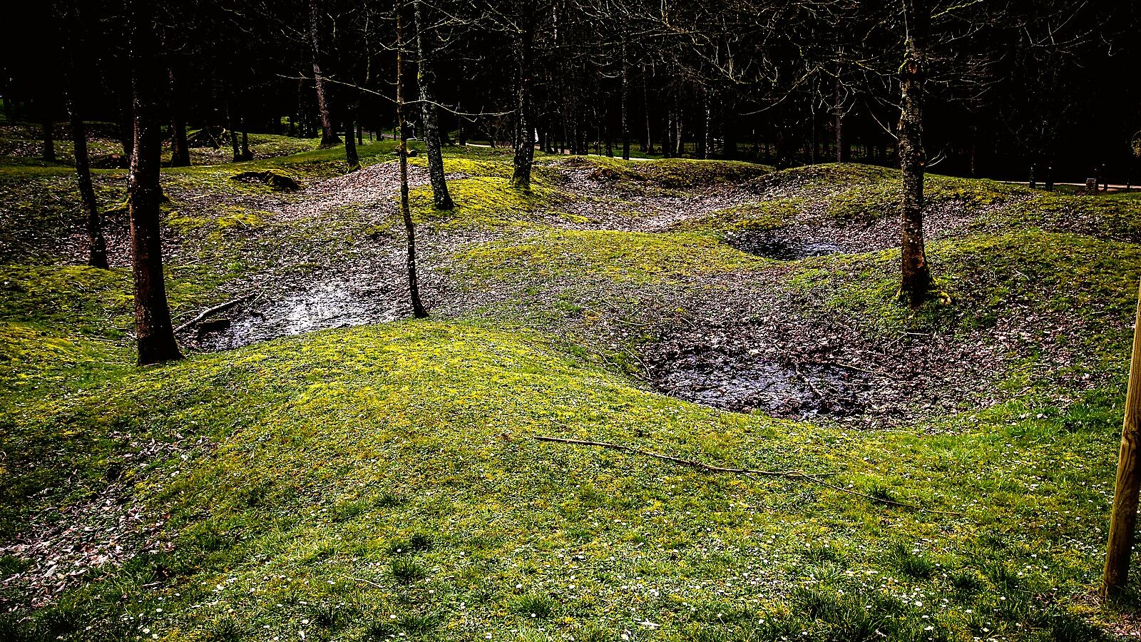Le terrain bouleversé par les obus à Fleury-devant-Douaumont, dans la Meuse