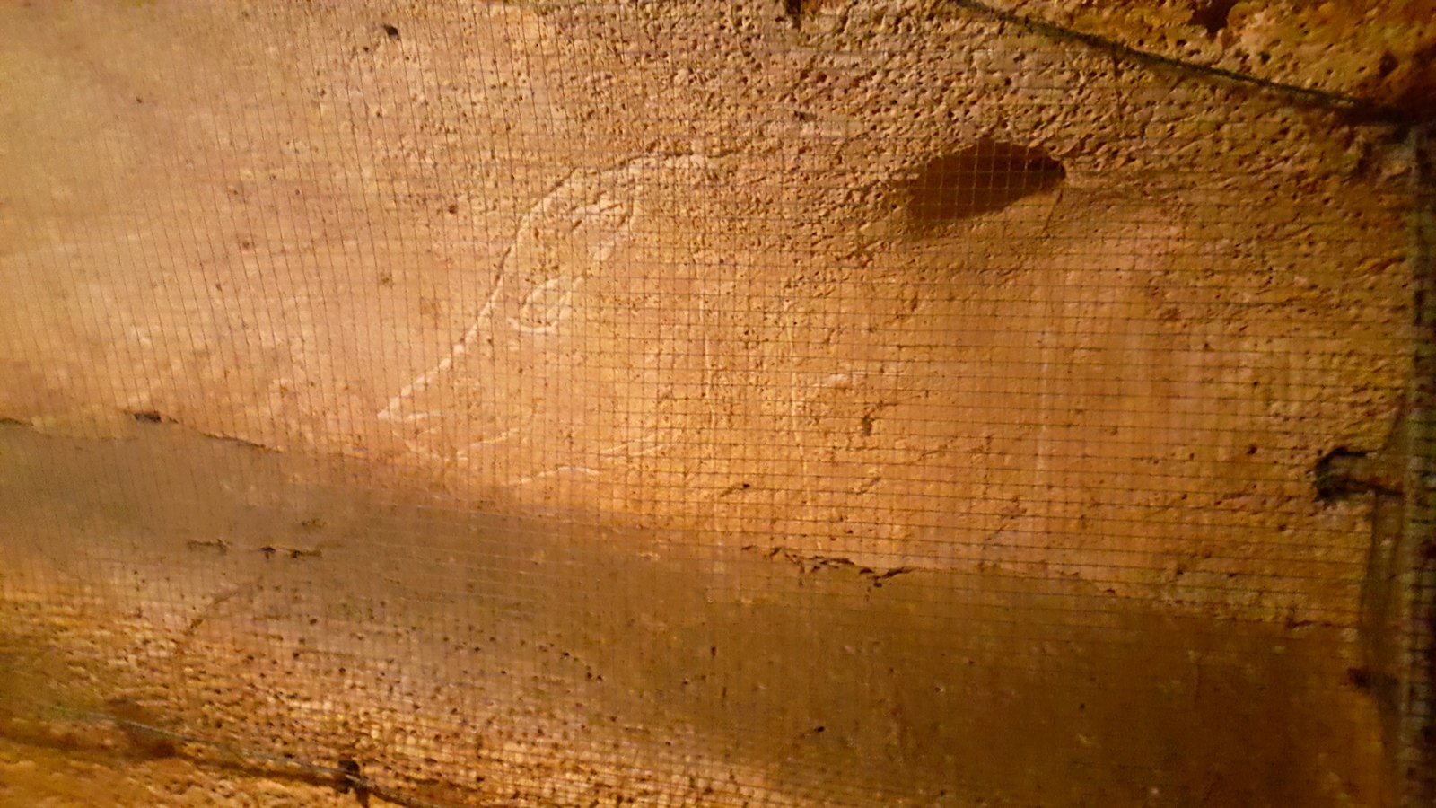 Gravure animale sur une paroi de la grotte du Pech Merle, dans le Lot