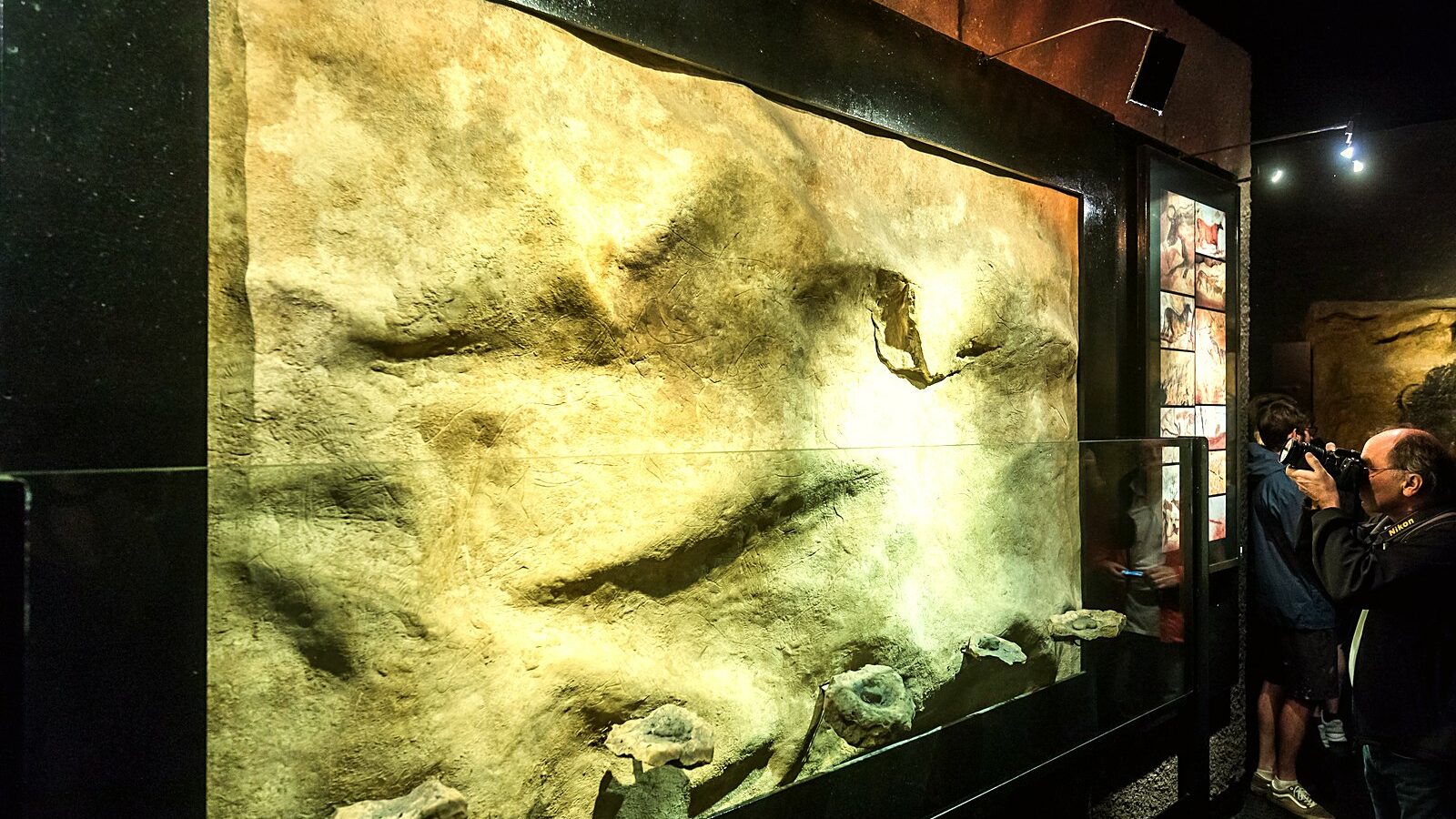 Les peintures reproduites dans le fac-similé de Lascaux 2, à Montignac