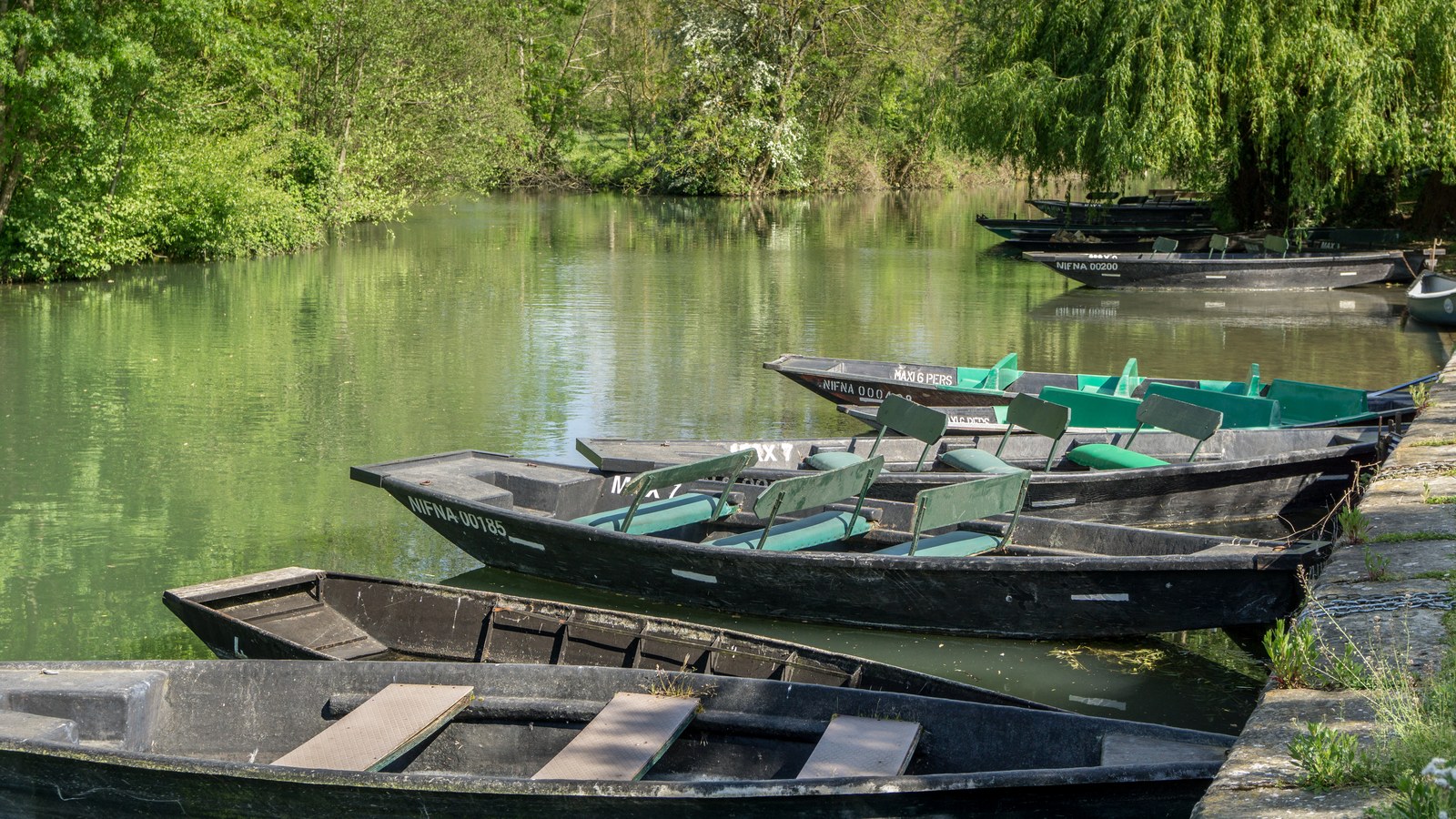 Barques plates noires amarrées le long d'un quai de pierre sur un canal bordé de saules dans le Marais poitevin