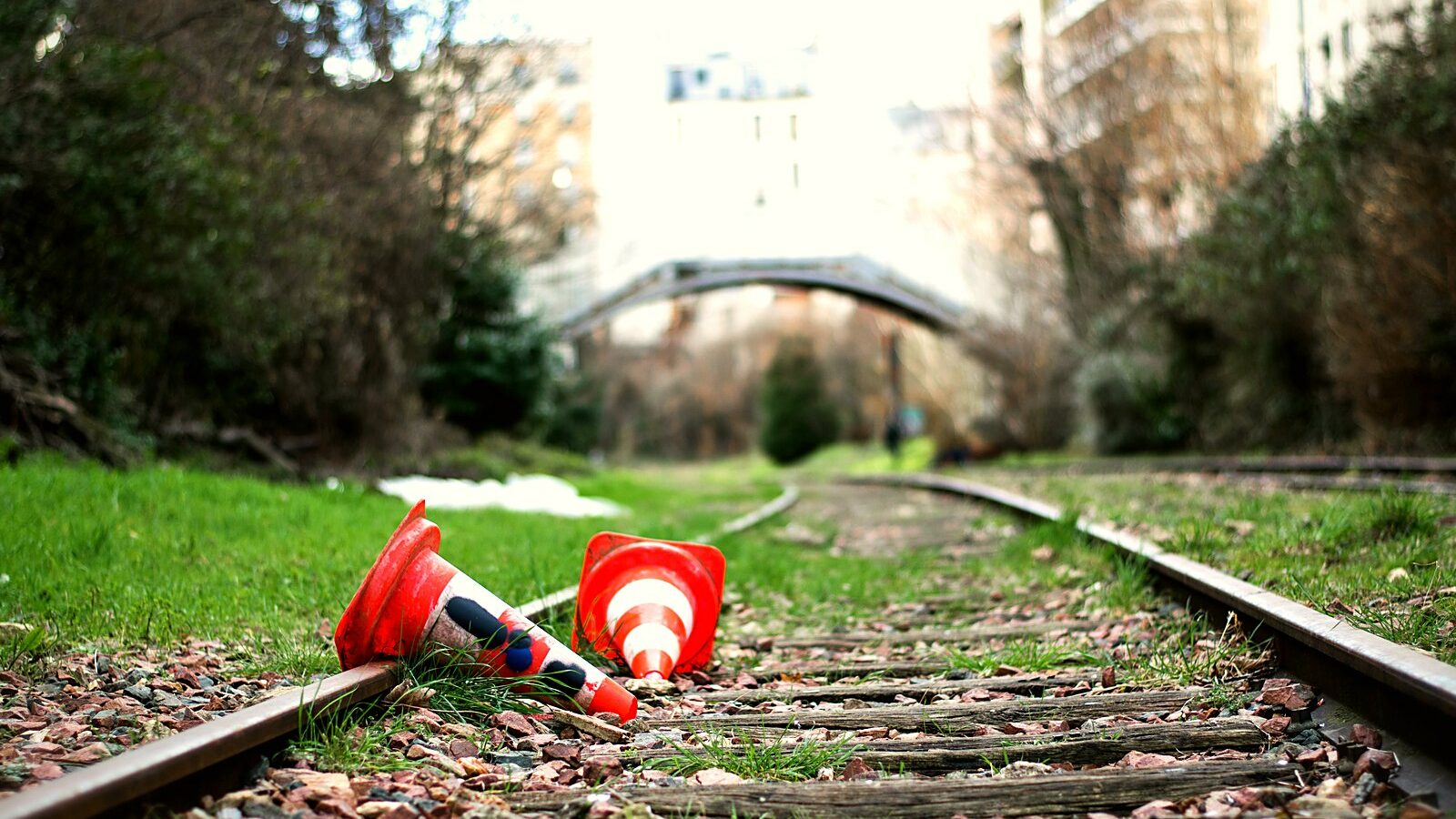 Les voies de la Petite Ceinture, à Paris, envahies par la végétation
