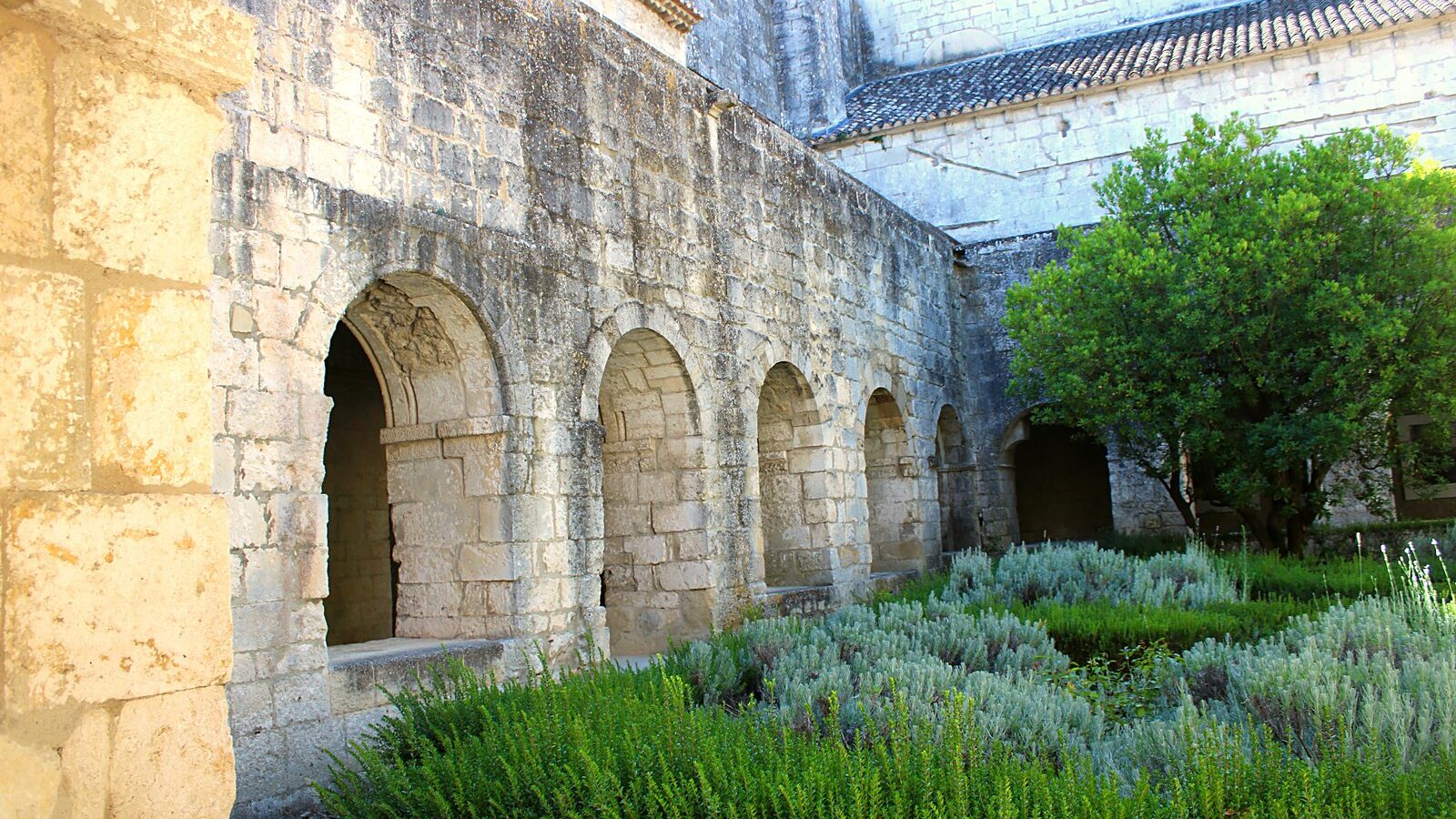 Le cloître de l'abbaye de Silvacane, ses arcades et le jardin de lavande au centre