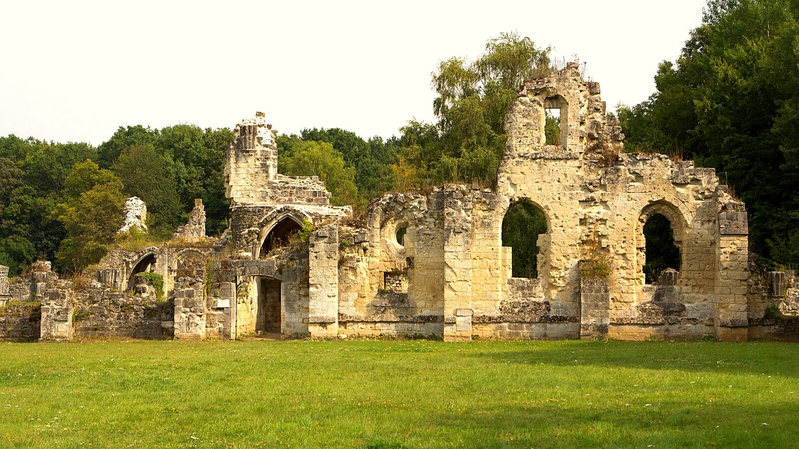 Un pan de mur à arcades de l'abbaye de Vauclair, dégagé dans sa clairière