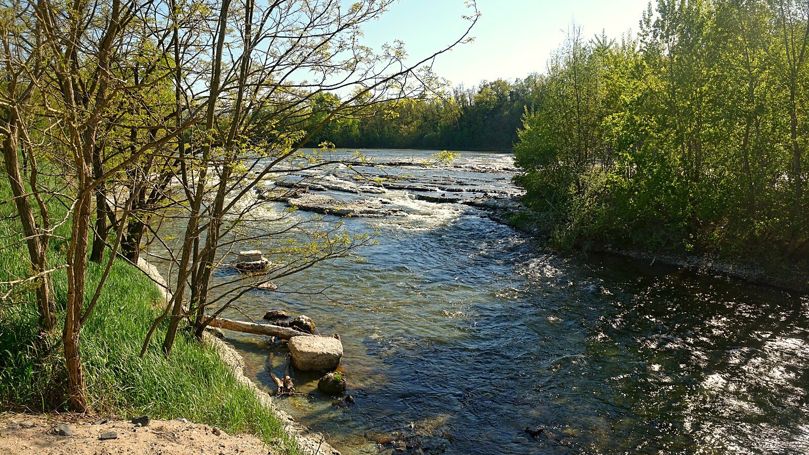 La rive droite de l'Allier aux Martres-d'Artière, avec ses bancs de galets