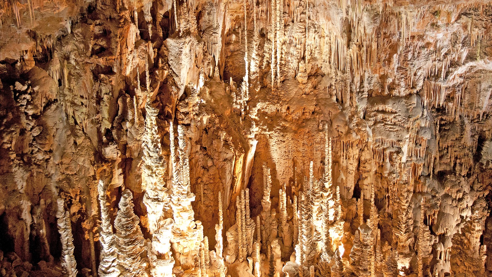 Forêt de stalagmites éclairées dans la grande salle de l'aven Armand, en Lozère