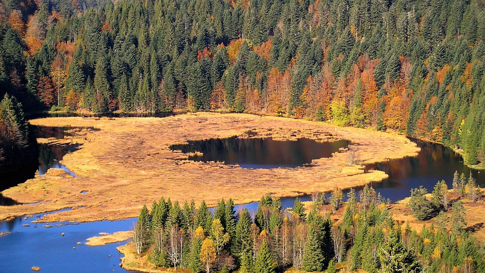 Le lac et la tourbière de Lispach, dans le haut massif des Vosges