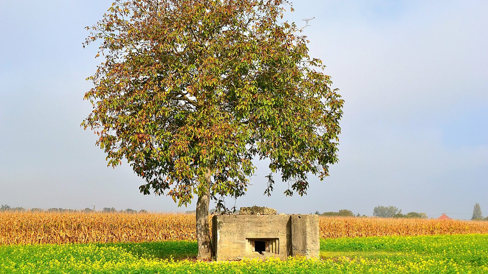 Une casemate de la ligne Maginot à Geiswasser, dans le Haut-Rhin