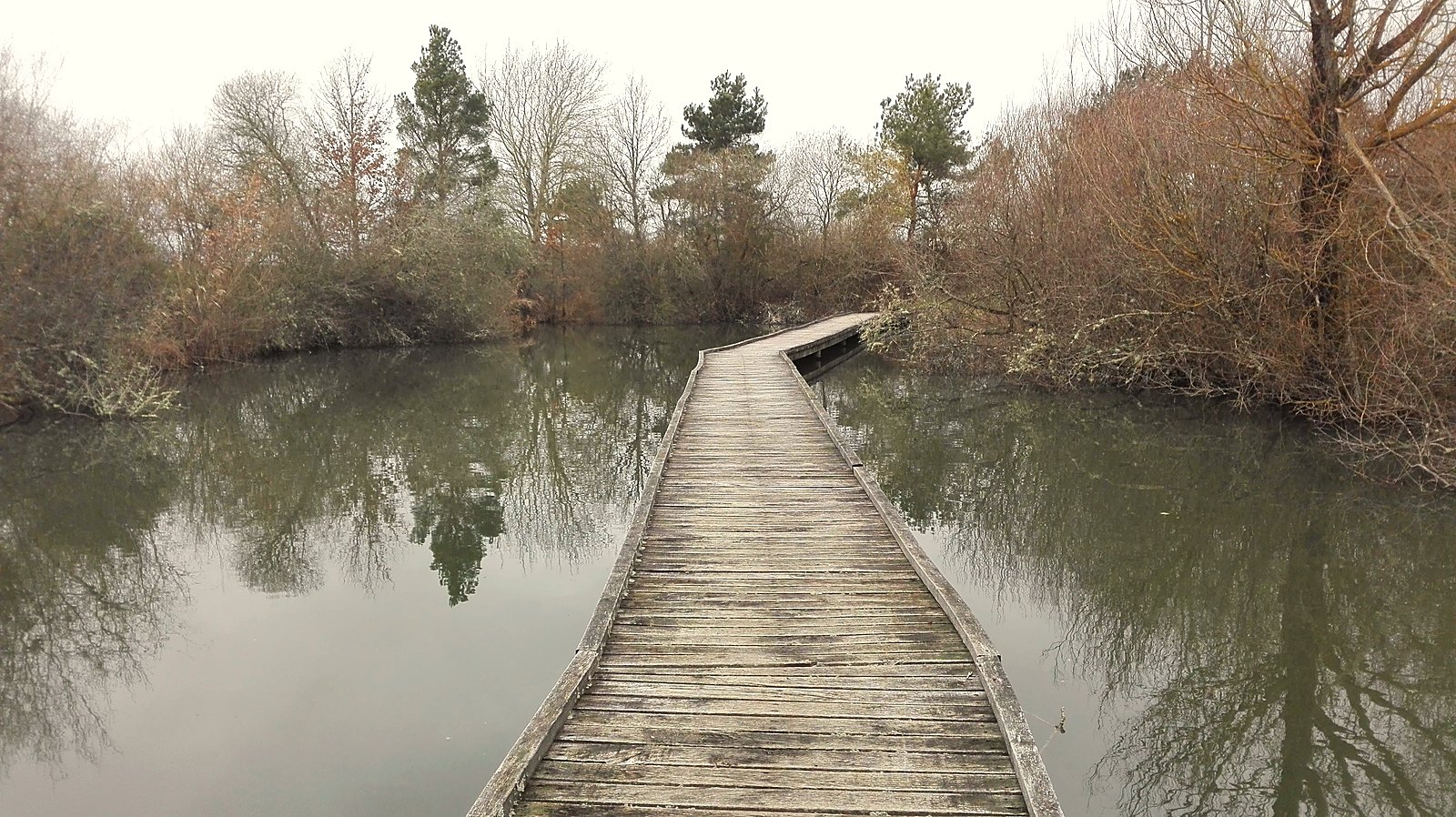Un étang de la Brenne, dans l'Indre, et son horizon plat