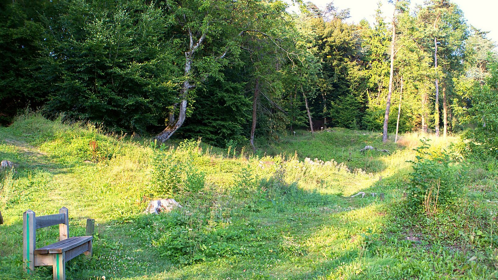 L'emplacement de l'ancien village de Craonne, dans l'Aisne