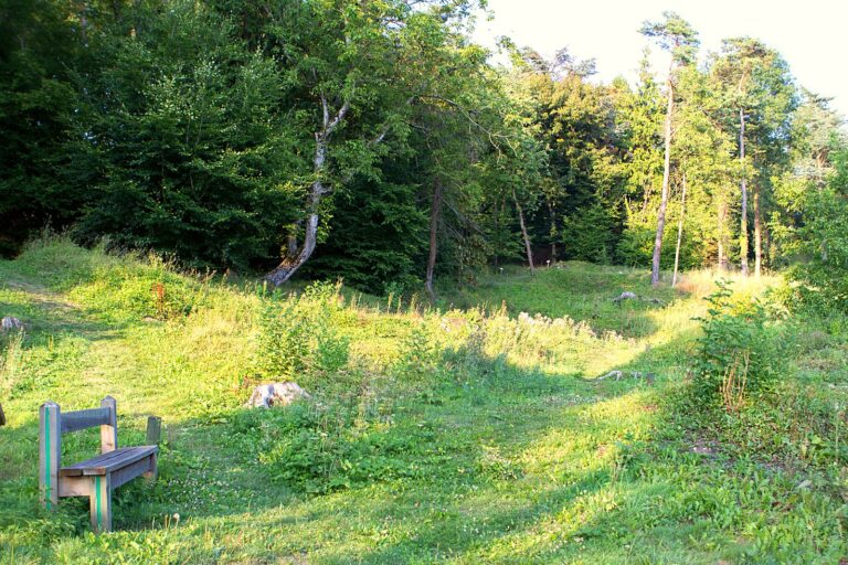 L'emplacement de l'ancien village de Craonne, dans l'Aisne