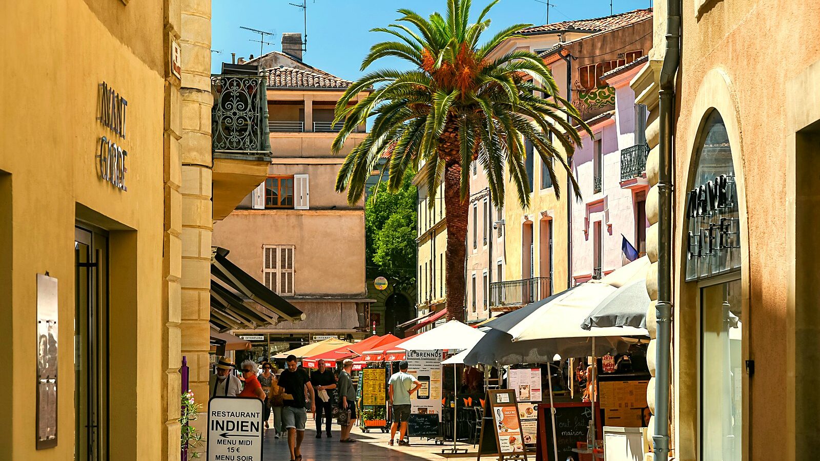 La place du Marché à Nîmes, avec sa fontaine au palmier et son crocodile