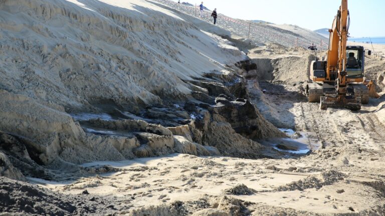 Pelle mécanique dégageant une strate de tourbe noire au pied de la dune du Pilat lors des fouilles d'octobre 2014
