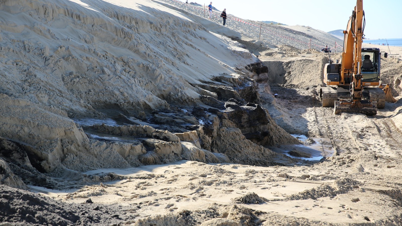 Pelle mécanique dégageant une strate de tourbe noire au pied de la dune du Pilat lors des fouilles d'octobre 2014