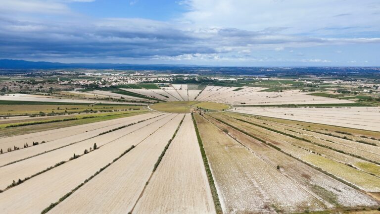 Vue aérienne de l’étang de Montady : parcelles en triangles qui convergent vers un fossé circulaire central, village à l’horizon