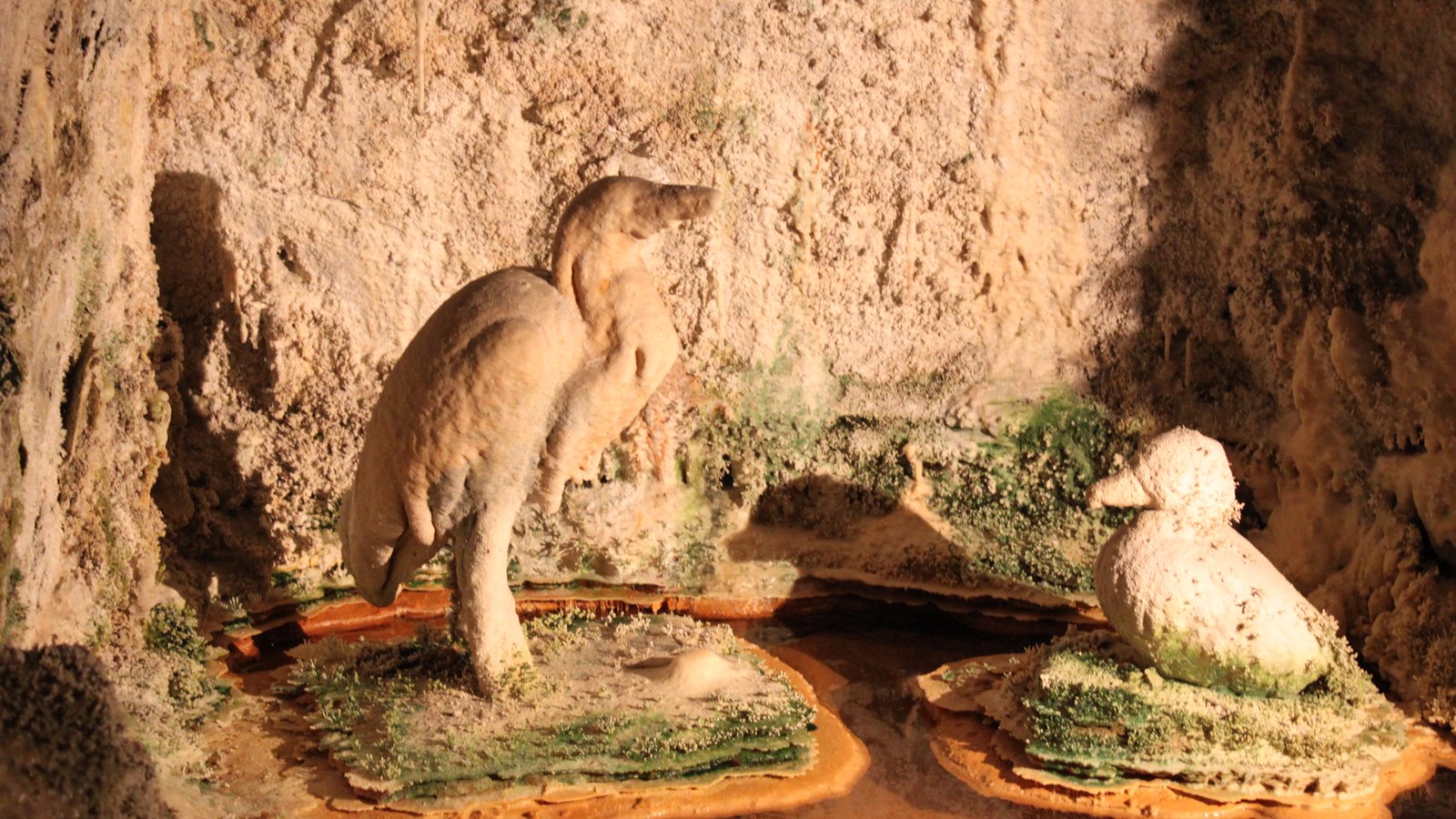 Un héron et un canard recouverts de calcaire blanc, posés sur des socles moussus au bord d'un bassin, dans la grotte des fontaines pétrifiantes de Saint-Nectaire