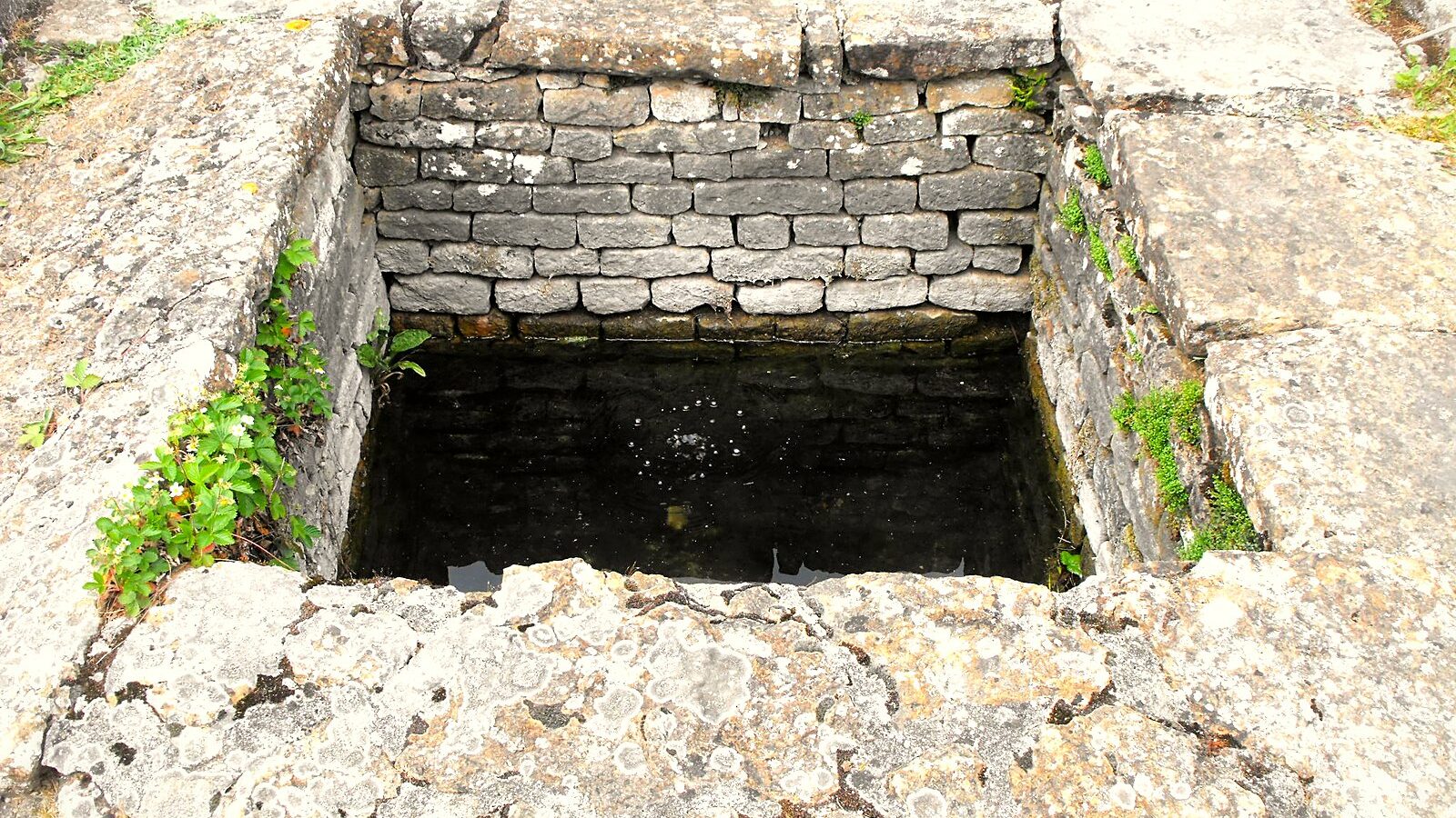 Le captage d'une source salée sur le site archéologique des Fontaines Salées