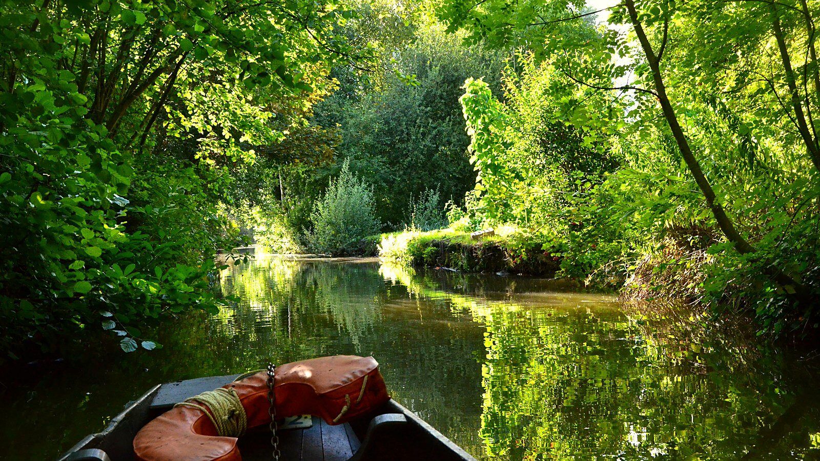 Une barque sur un rieu des hortillonnages d'Amiens, dans la Somme