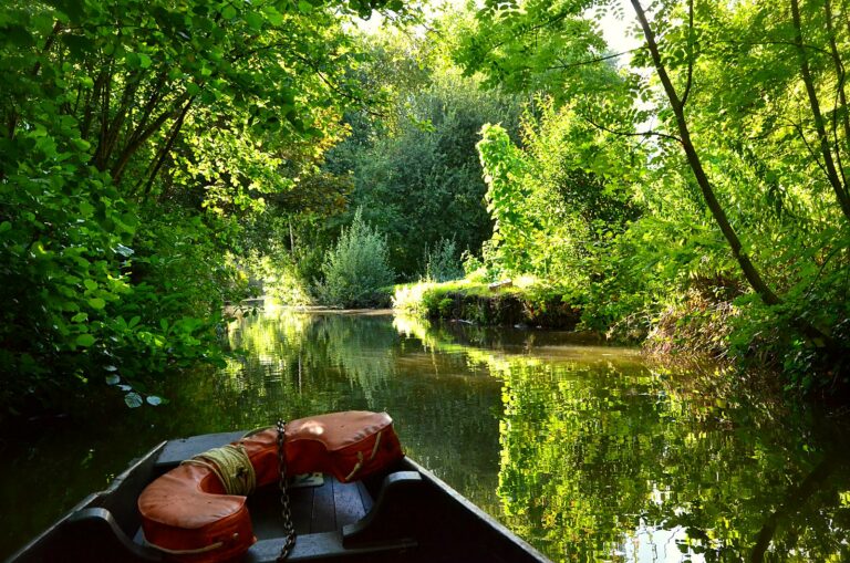 Une barque sur un rieu des hortillonnages d'Amiens, dans la Somme