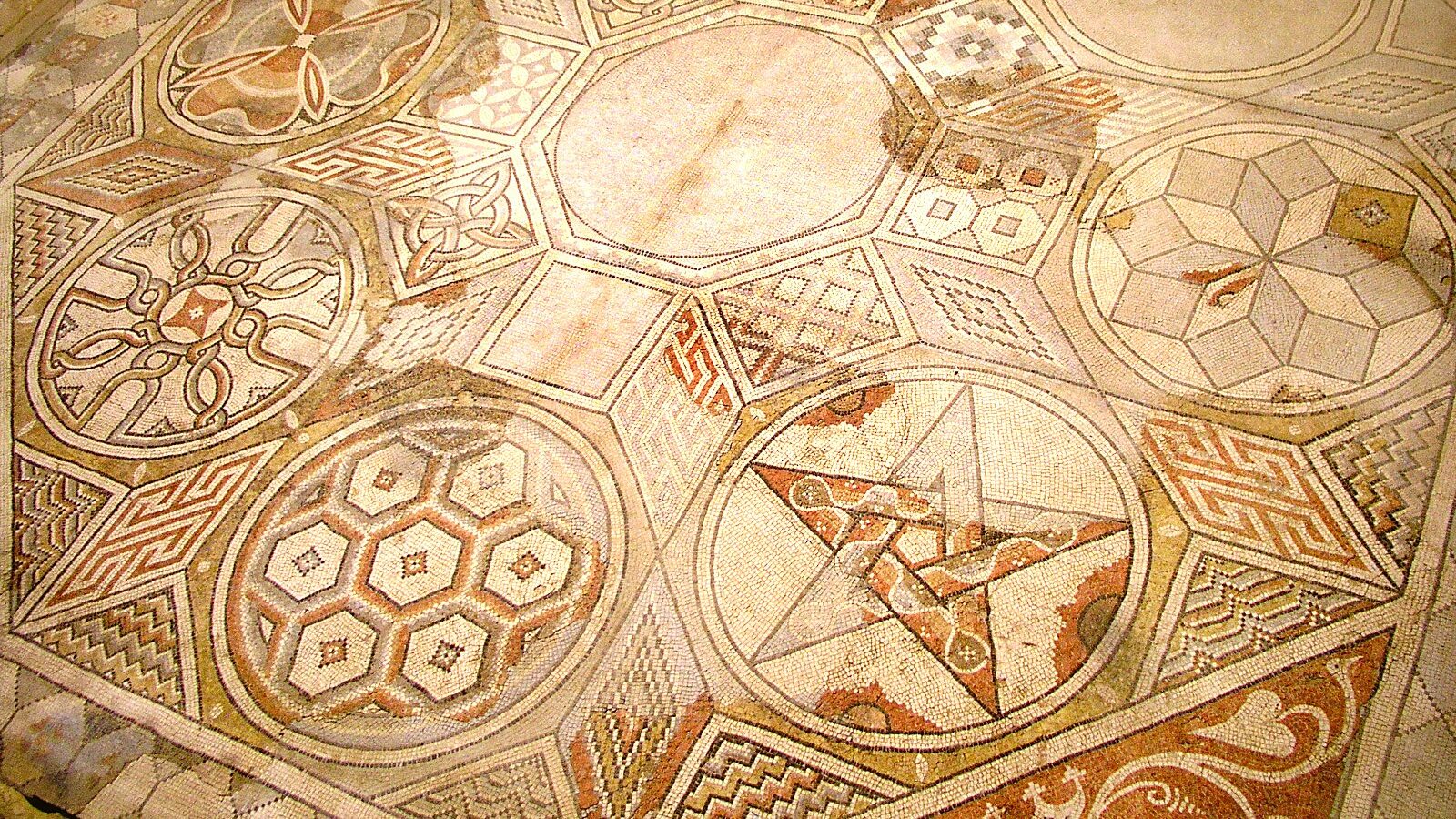 La mosaïque aux étoiles de la villa gallo-romaine des Prés Bas, à Loupian