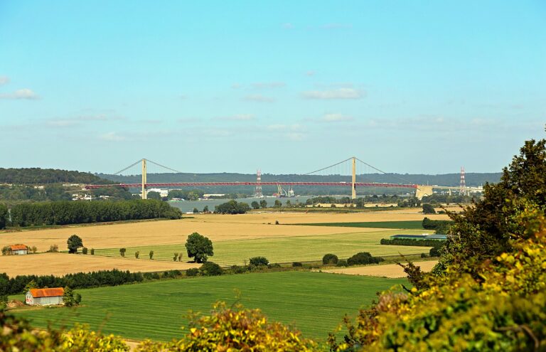 Le fond plat du marais Vernier vu depuis la pointe de la Roque, avec le pont de Tancarville à l'horizon