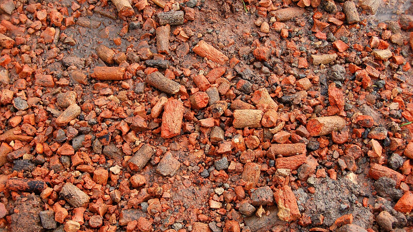 Des fragments de terre cuite du briquetage de la Seille