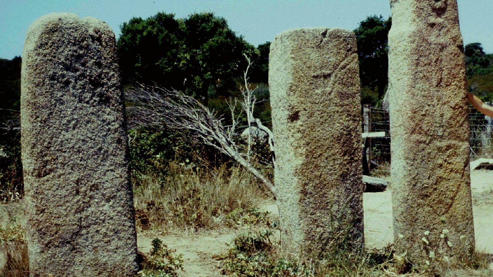 Des pierres dressées du plateau de Cauria, à Sartène, en Corse-du-Sud