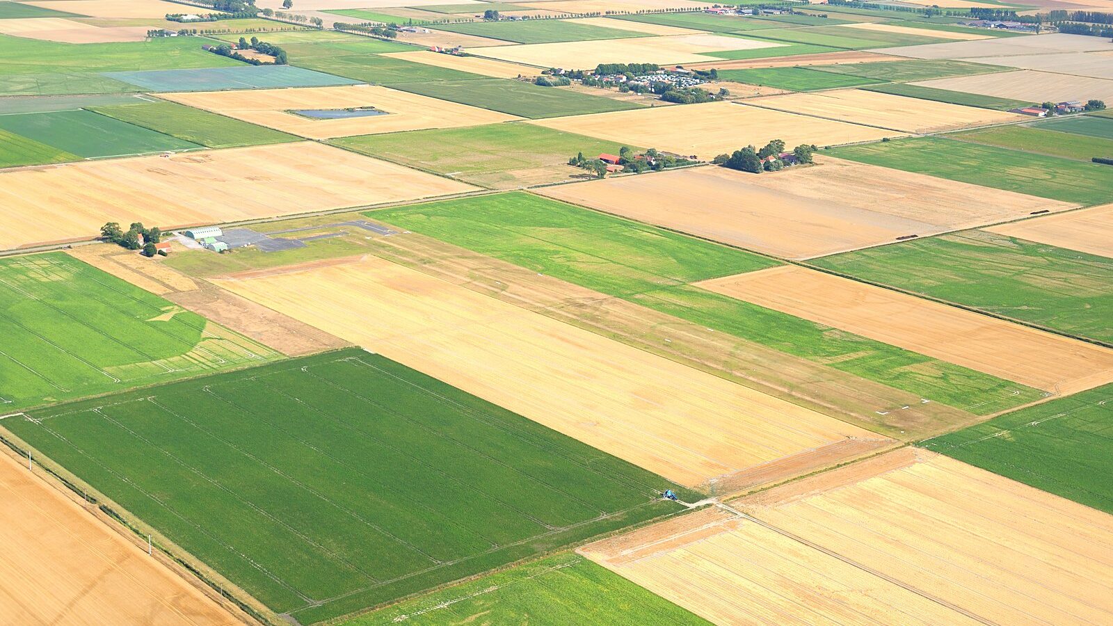 Le damier de parcelles rectangulaires et de fossés rectilignes de la plaine des Moëres, vu du ciel