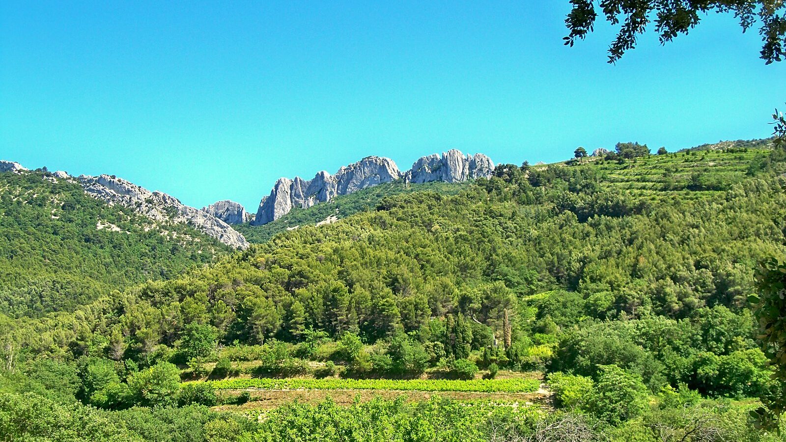 Les Dentelles Sarrasines, dans le massif des Dentelles de Montmirail