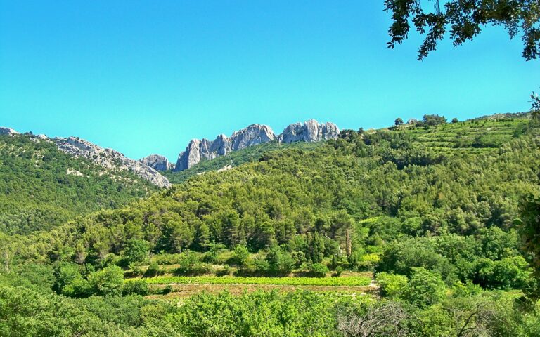 Les Dentelles Sarrasines, dans le massif des Dentelles de Montmirail