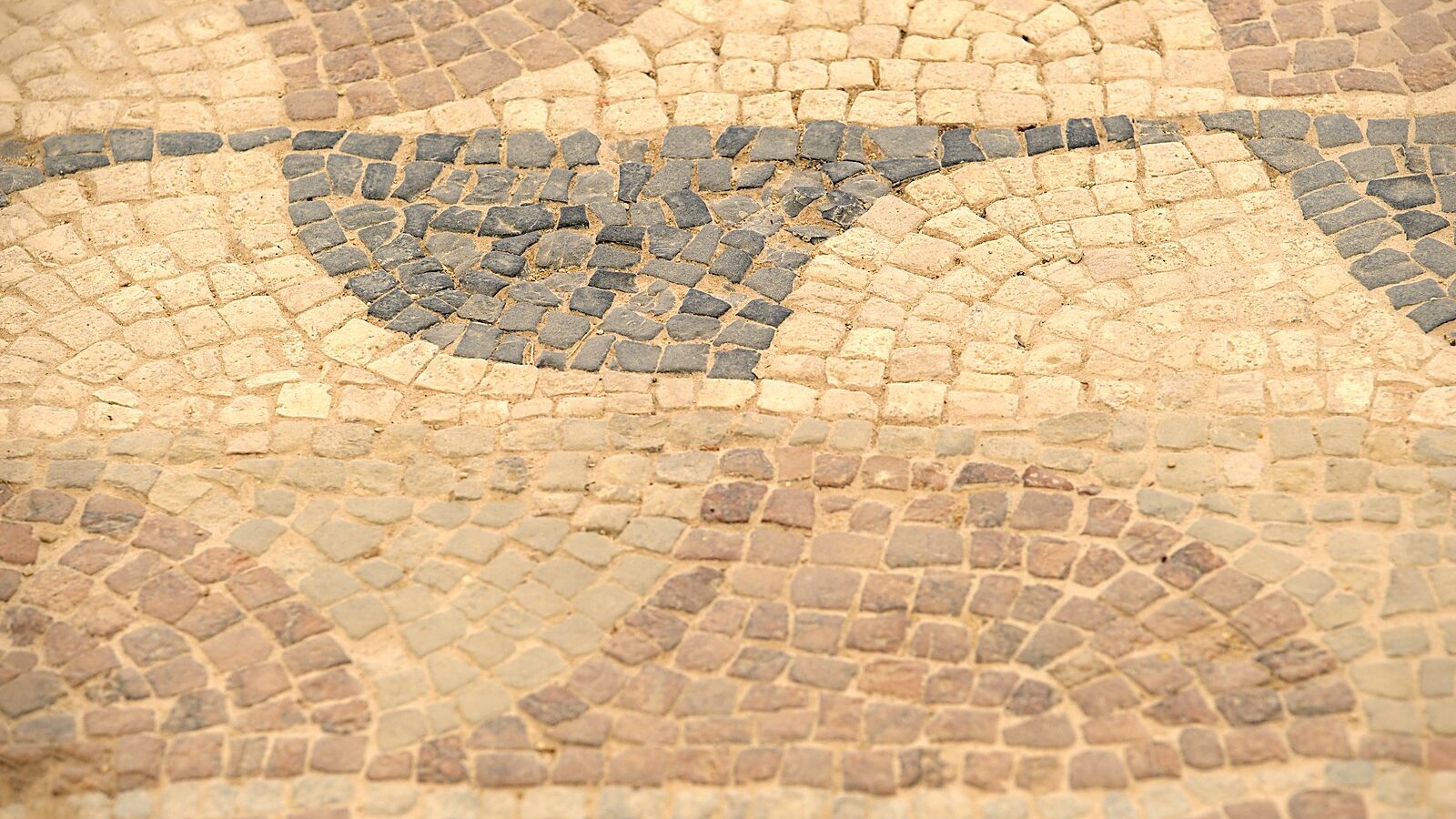 Une mosaïque de la villa gallo-romaine de Séviac, à Montréal-du-Gers