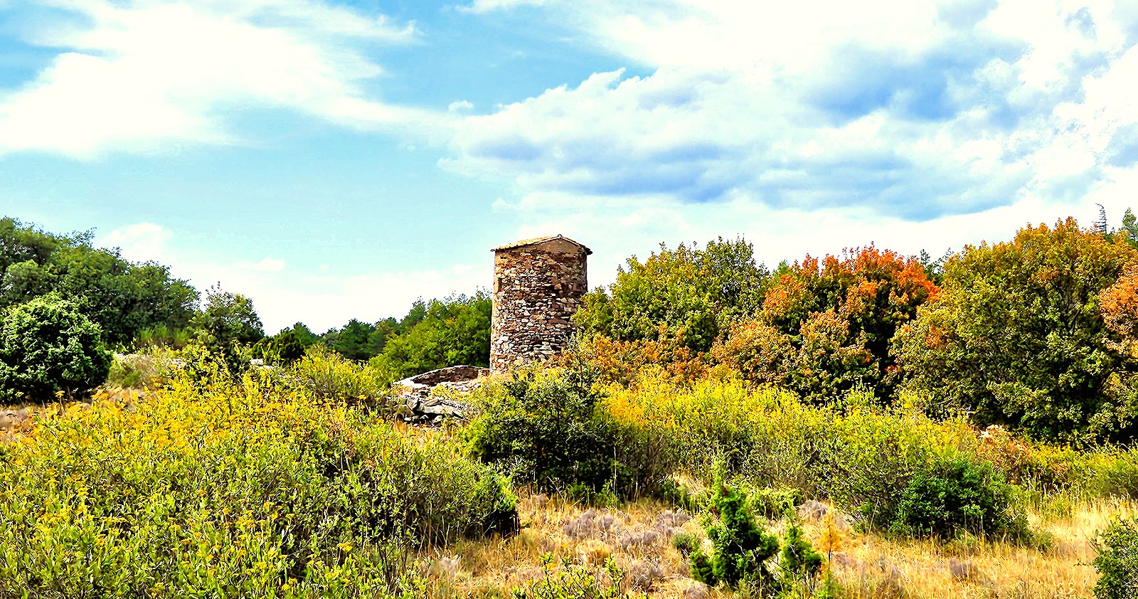 La tour sans ailes du moulin de Biot, sur la garrigue du Minervois
