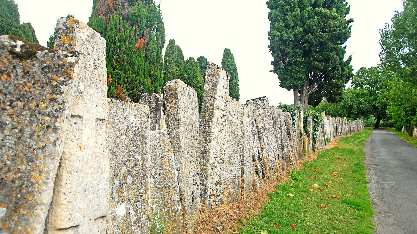 La nécropole mérovingienne de Civaux et sa clôture de couvercles de sarcophages