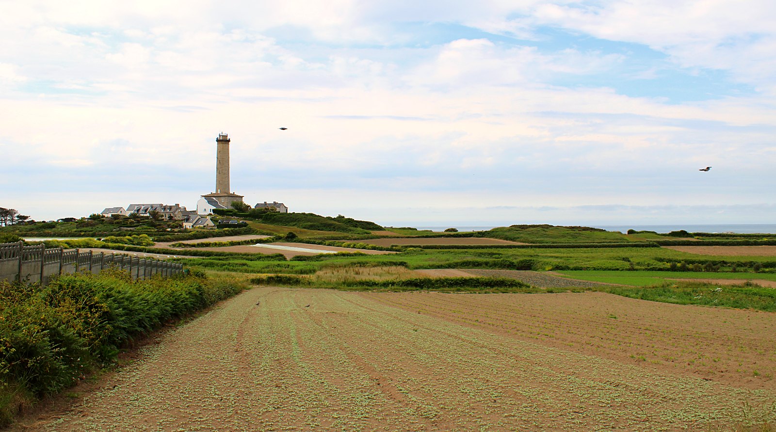 Le phare de l'île de Batz sur sa hauteur, au-dessus des cultures et de la mer
