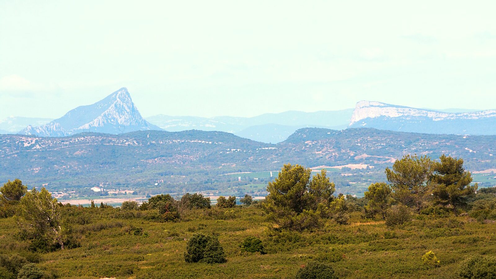 Le pic Saint-Loup et la montagne de l'Hortus vus depuis la plaine, dans l'Hérault