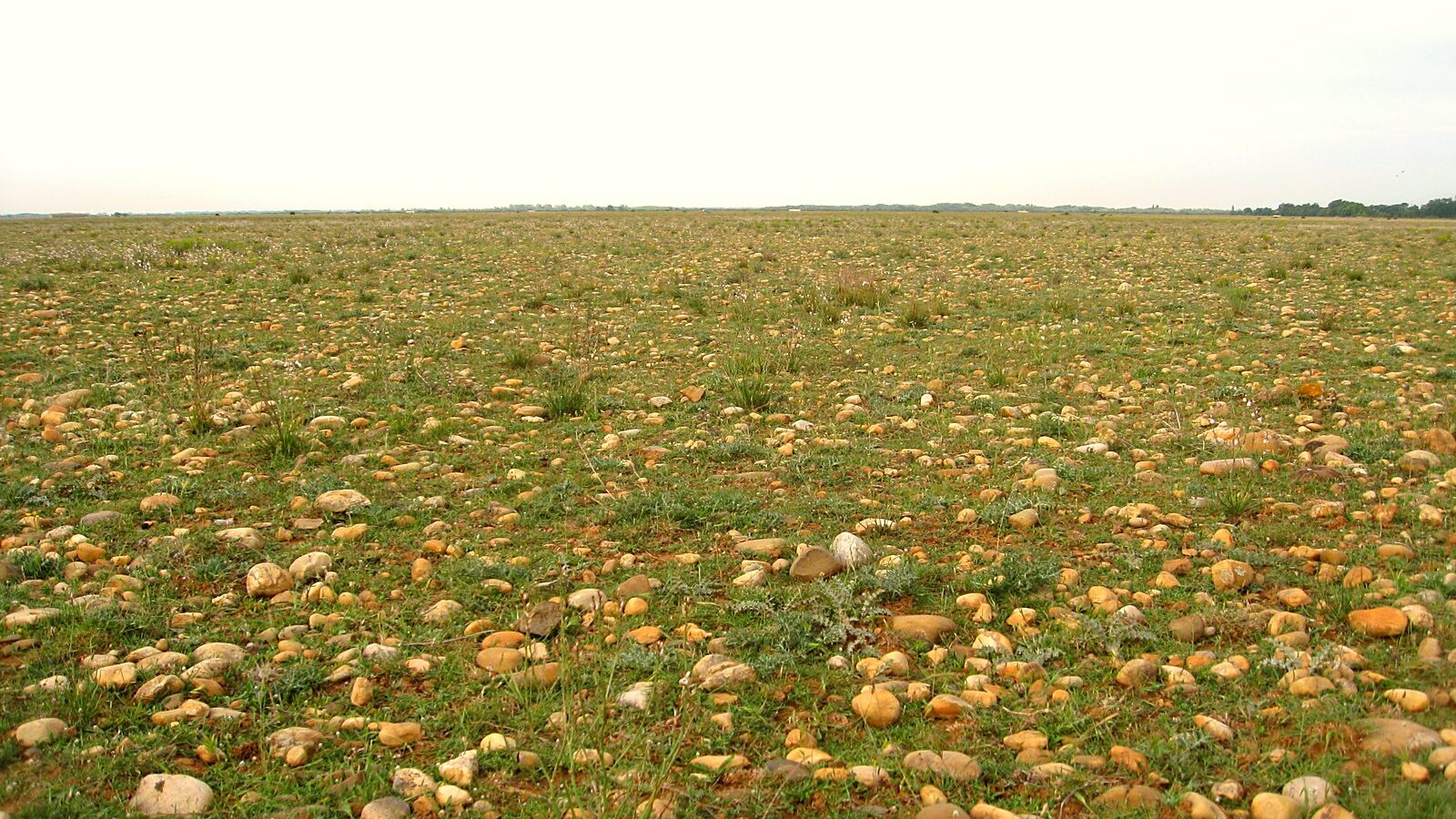 La plaine de la Crau et sa steppe de galets, dans les Bouches-du-Rhône