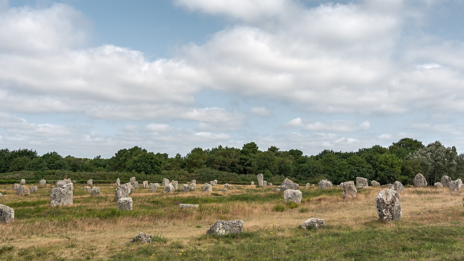 Files de menhirs de l'alignement du Ménec à Carnac, dans une lande herbeuse bordée d'arbres, sous un ciel nuageux