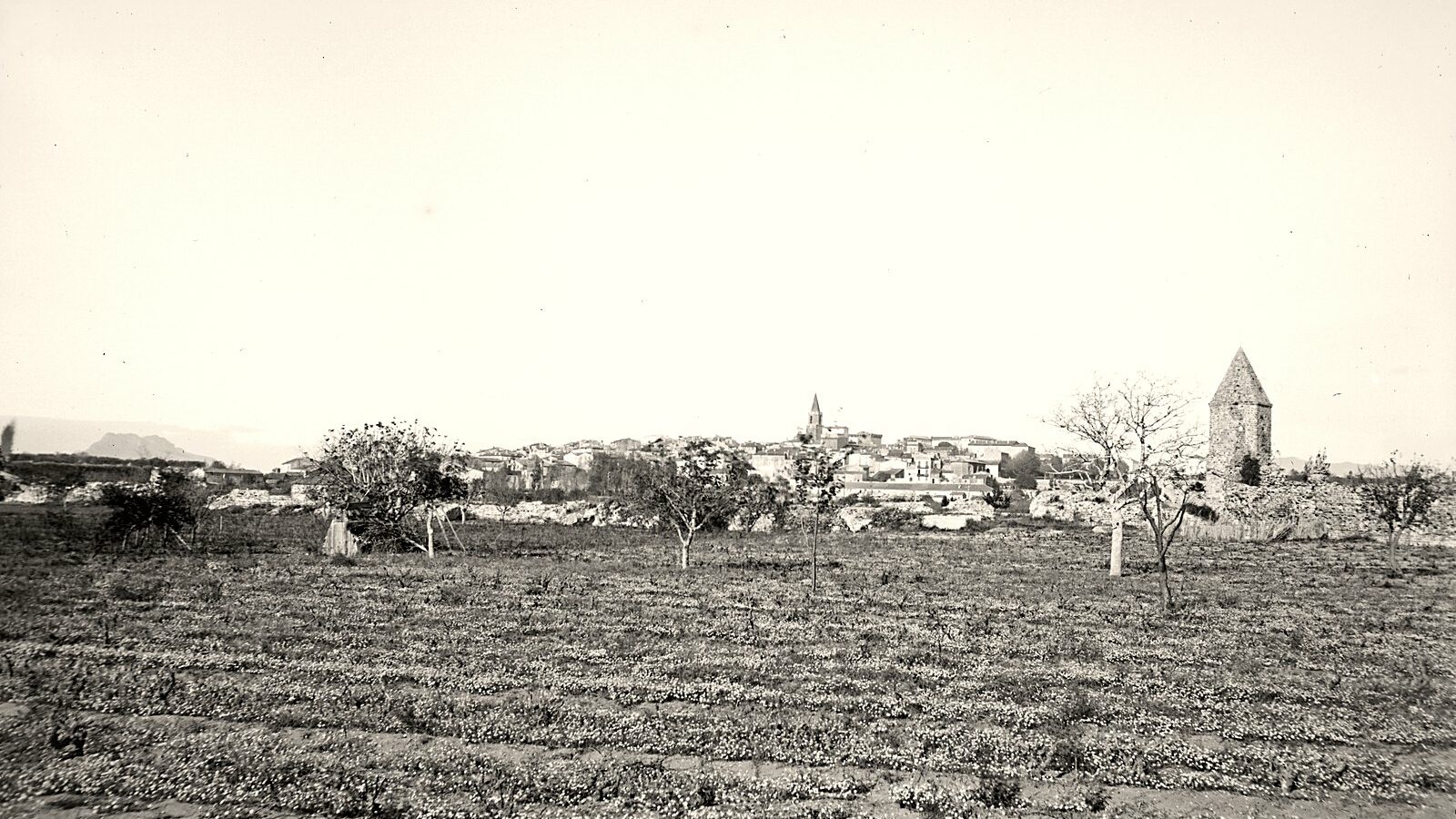 Le bassin du port antique de Fréjus, alors en cultures, avec la lanterne d'Auguste à droite et la ville au fond