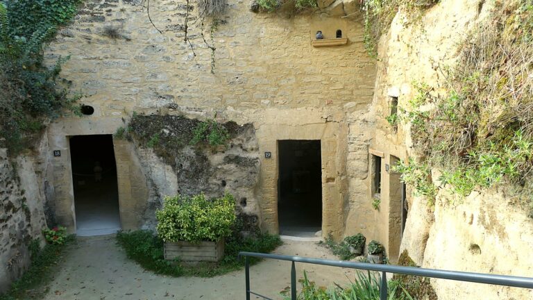 Cour troglodytique en contrebas à Rochemenier, deux portes creusées dans une paroi de falun et de pierre, plantes en pot et rambarde au premier plan