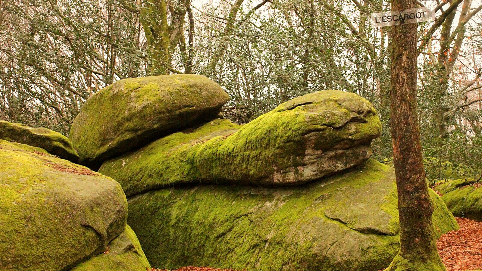 L'Escargot, bloc de granite du Sidobre, dans le Tarn