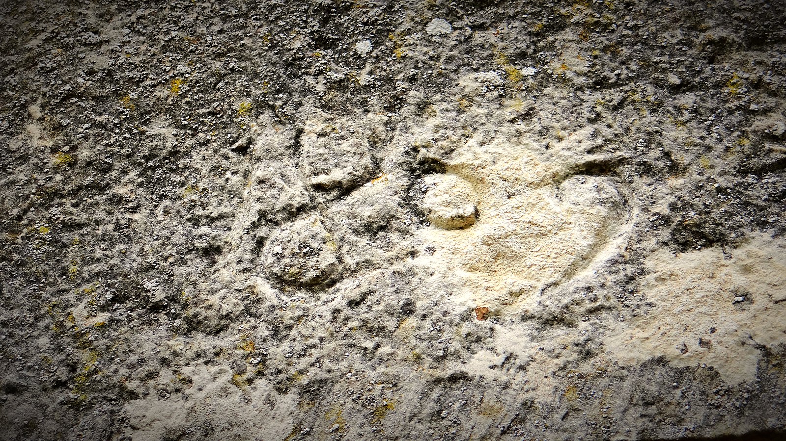 Une tour du télégraphe Chappe, à Annoux dans l'Yonne
